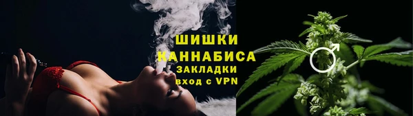 сатива Сафоново