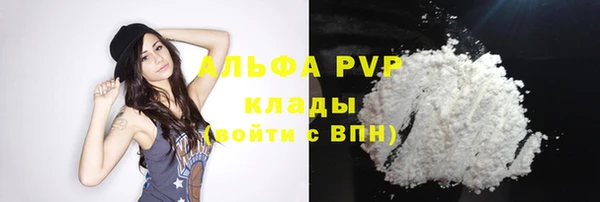 дживик Сатка