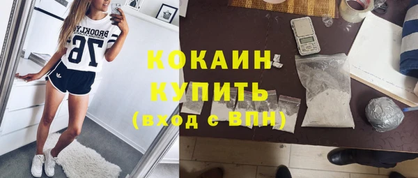 дживик Сатка